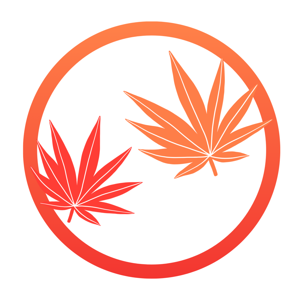 Arrêt du cannabis - 1 Personne